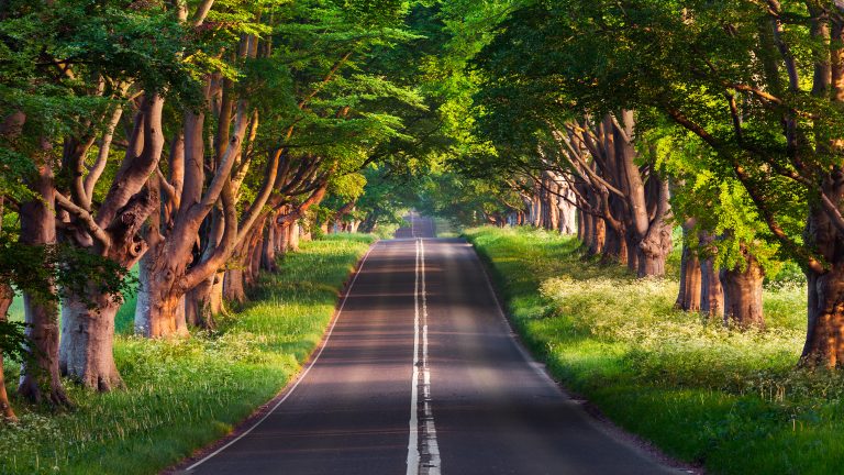 布兰德福德路  4K风景壁纸