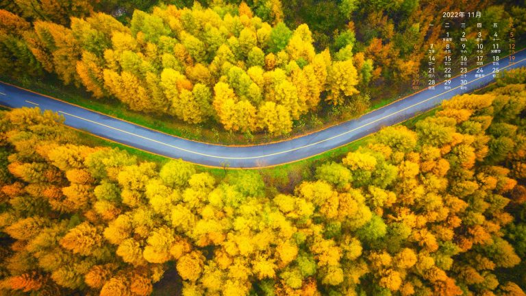 超高清 秋天 风景 公路 摄影 俯视 电脑壁纸