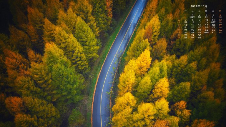 好看 秋天 树林 公路 俯视 风景 图片 高清电脑壁纸