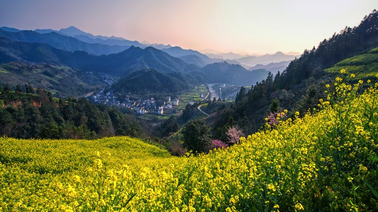 春天 山村 房子 油菜花 群山风景壁纸